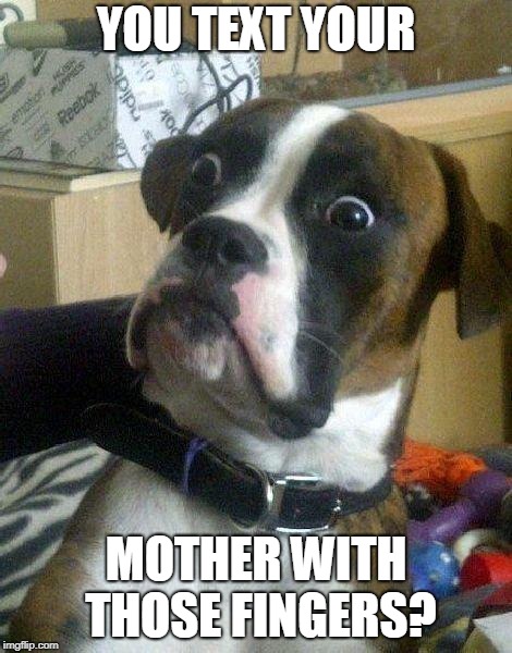 Surprised Dog | YOU TEXT YOUR MOTHER WITH THOSE FINGERS? | image tagged in surprised dog | made w/ Imgflip meme maker