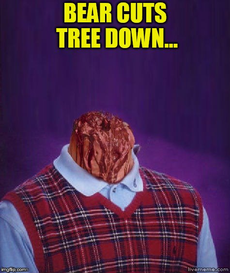 BEAR CUTS TREE DOWN... | made w/ Imgflip meme maker