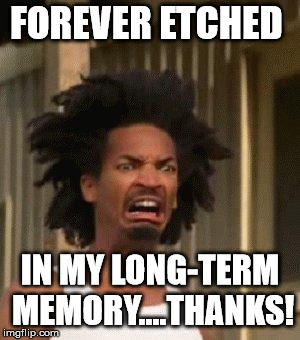 Disgusted Face | FOREVER ETCHED IN MY LONG-TERM MEMORY....THANKS! | image tagged in disgusted face | made w/ Imgflip meme maker