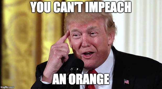 you can't impeach an orange | YOU CAN'T IMPEACH; AN ORANGE | image tagged in trump stable genius,memes,orange trump,impeach trump | made w/ Imgflip meme maker