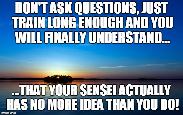 Inspirational Quote | DON'T ASK QUESTIONS, JUST TRAIN LONG ENOUGH AND YOU WILL FINALLY UNDERSTAND... ...THAT YOUR SENSEI ACTUALLY HAS NO MORE IDEA THAN YOU DO! | image tagged in inspirational quote | made w/ Imgflip meme maker