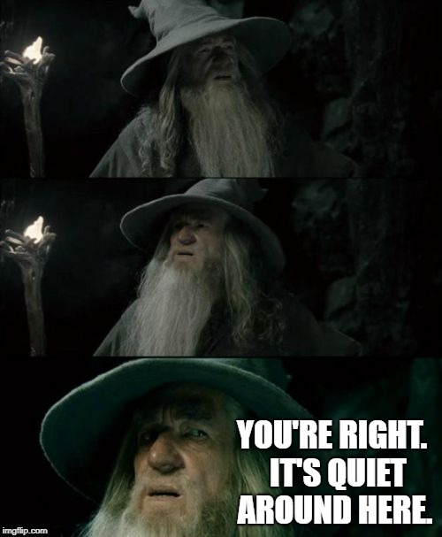 Confused Gandalf Meme | YOU'RE RIGHT.  IT'S QUIET AROUND HERE. | image tagged in memes,confused gandalf | made w/ Imgflip meme maker