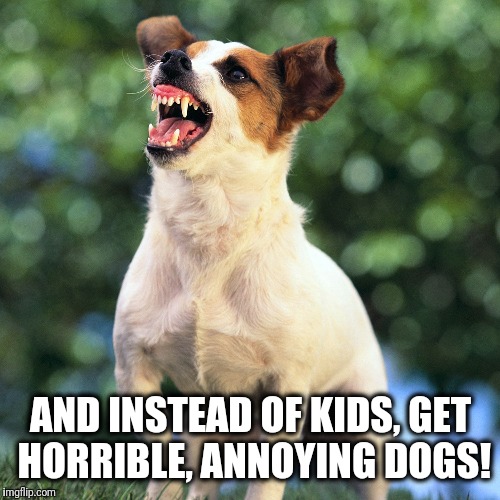 Collection 93+ Wallpaper Sounds To Annoy Your Dog Completed