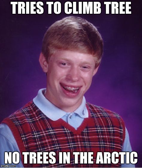 Bad Luck Brian Meme | TRIES TO CLIMB TREE NO TREES IN THE ARCTIC | image tagged in memes,bad luck brian | made w/ Imgflip meme maker