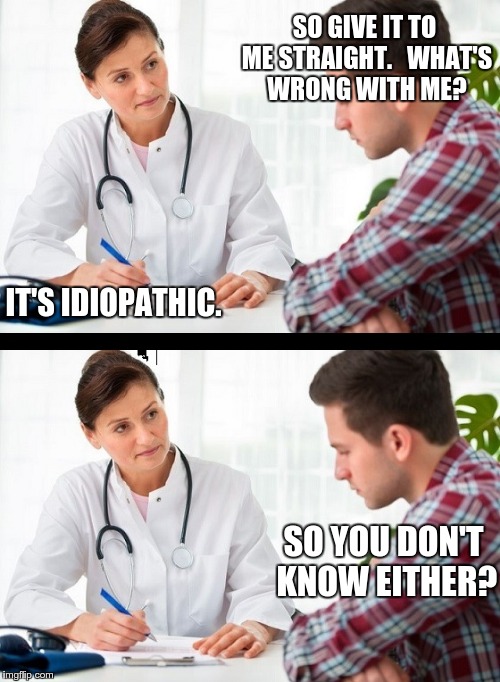 doctor and patient | SO GIVE IT TO ME STRAIGHT.   WHAT'S WRONG WITH ME? IT'S IDIOPATHIC. SO YOU DON'T KNOW EITHER? | image tagged in doctor and patient | made w/ Imgflip meme maker