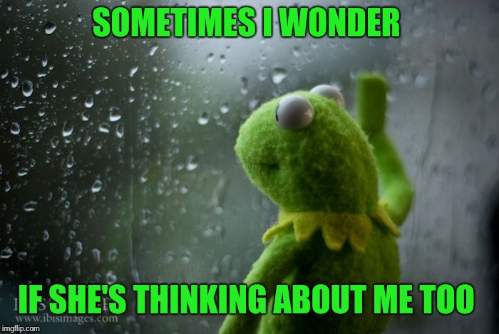kermit window | SOMETIMES I WONDER; IF SHE'S THINKING ABOUT ME TOO | image tagged in kermit window | made w/ Imgflip meme maker