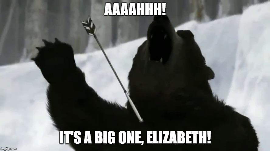 CGI Bear's Death in Golden Kamuy | AAAAHHH! IT'S A BIG ONE, ELIZABETH! | image tagged in golden kamuy,anime,cgi,bears,death | made w/ Imgflip meme maker