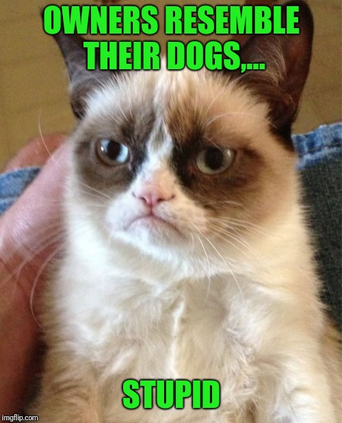 Grumpy Cat Meme | OWNERS RESEMBLE THEIR DOGS,... STUPID | image tagged in memes,grumpy cat | made w/ Imgflip meme maker