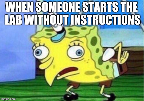 Mocking Spongebob Meme | WHEN SOMEONE STARTS THE LAB WITHOUT INSTRUCTIONS | image tagged in memes,mocking spongebob | made w/ Imgflip meme maker