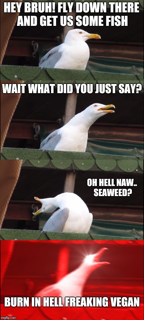Inhaling Seagull Meme | HEY BRUH! FLY DOWN THERE AND GET US SOME FISH; WAIT WHAT DID YOU JUST SAY? OH HELL NAW.. SEAWEED? BURN IN HELL FREAKING VEGAN | image tagged in memes,inhaling seagull | made w/ Imgflip meme maker