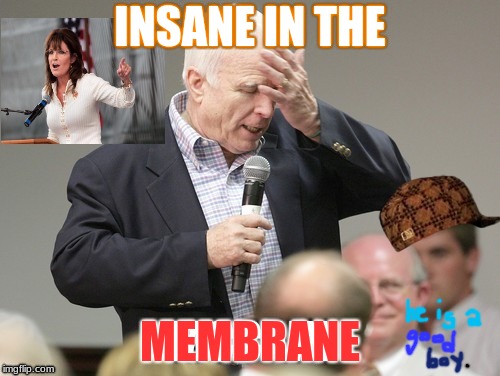 Insane in the McCain | INSANE IN THE; MEMBRANE | image tagged in cancer,hiphop,politics lol,john mccain,sarah palin | made w/ Imgflip meme maker