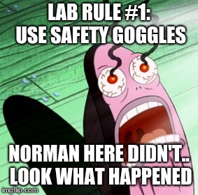 Burning eyes | LAB RULE #1: USE SAFETY GOGGLES; NORMAN HERE DIDN'T.. LOOK WHAT HAPPENED | image tagged in burning eyes | made w/ Imgflip meme maker