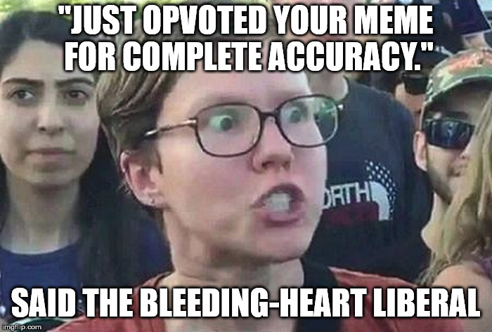 Triggered Liberal | "JUST OPVOTED YOUR MEME FOR COMPLETE ACCURACY." SAID THE BLEEDING-HEART LIBERAL | image tagged in triggered liberal | made w/ Imgflip meme maker