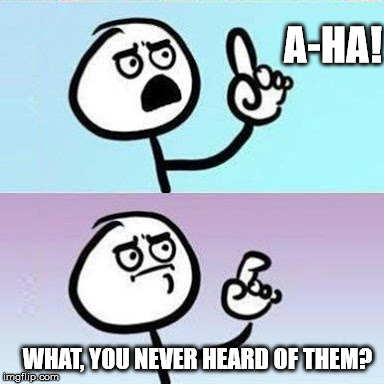 Good Point | A-HA! WHAT, YOU NEVER HEARD OF THEM? | image tagged in good point | made w/ Imgflip meme maker