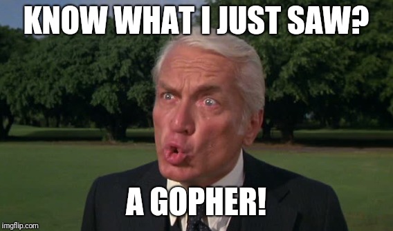 KNOW WHAT I JUST SAW? A GOPHER! | made w/ Imgflip meme maker