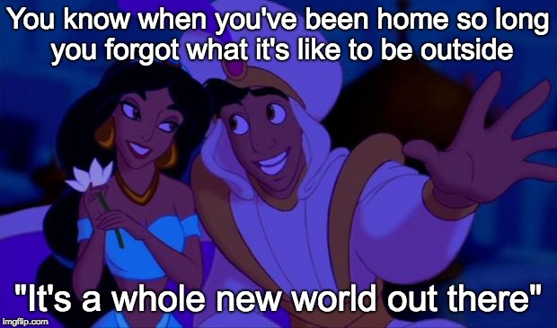 Aladdin | You know when you've been home so long you forgot what it's like to be outside; "It's a whole new world out there" | image tagged in aladdin | made w/ Imgflip meme maker