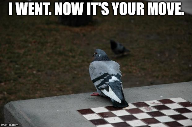 Pigeon Shitting on Chess Board | I WENT. NOW IT'S YOUR MOVE. | image tagged in pigeon shitting on chess board | made w/ Imgflip meme maker