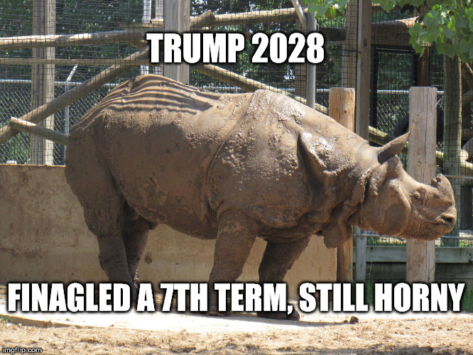 rhino know | TRUMP 2028 FINAGLED A 7TH TERM, STILL HORNY | image tagged in rhino know | made w/ Imgflip meme maker