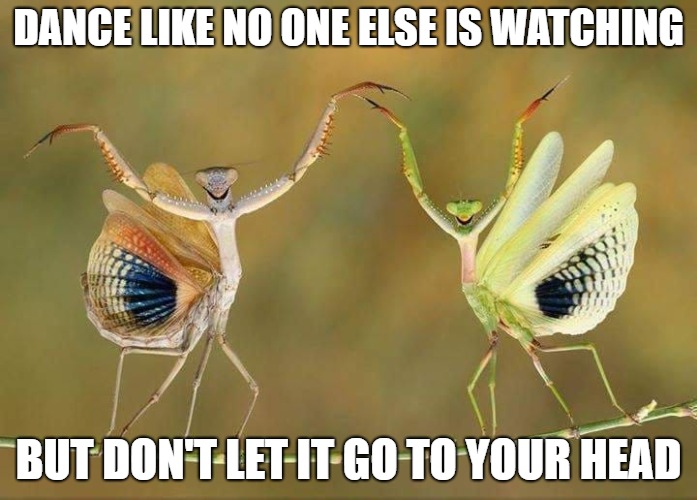 Dance | DANCE LIKE NO ONE ELSE IS WATCHING; BUT DON'T LET IT GO TO YOUR HEAD | image tagged in dance,dancing,prey | made w/ Imgflip meme maker