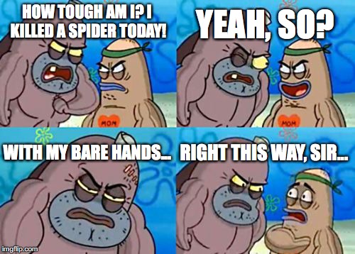 Based on a True Event... That Literally Just Happened Right Now. | YEAH, SO? HOW TOUGH AM I? I KILLED A SPIDER TODAY! WITH MY BARE HANDS... RIGHT THIS WAY, SIR... | image tagged in memes,how tough are you | made w/ Imgflip meme maker