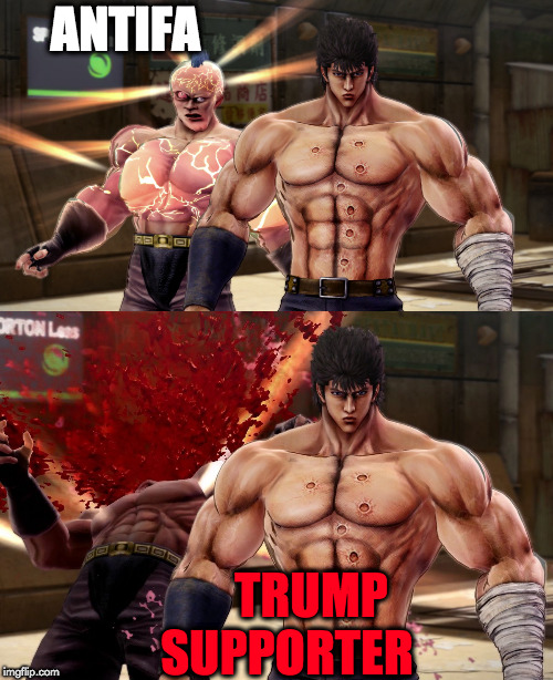 fist of the trump supporter | ANTIFA; TRUMP SUPPORTER | image tagged in funny meme | made w/ Imgflip meme maker