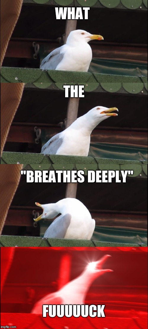 Inhaling Seagull Meme | WHAT; THE; "BREATHES DEEPLY"; FUUUUUCK | image tagged in memes,inhaling seagull | made w/ Imgflip meme maker