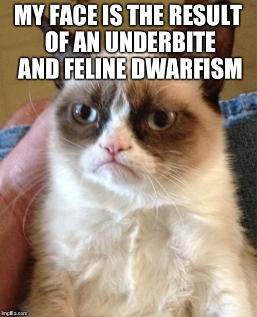 Grumpy Cat | MY FACE IS THE RESULT OF AN UNDERBITE AND FELINE DWARFISM | image tagged in memes,grumpy cat | made w/ Imgflip meme maker