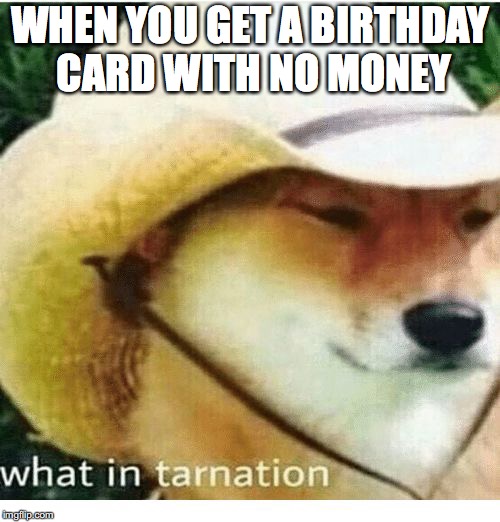 what in tarnation | WHEN YOU GET A BIRTHDAY CARD WITH NO MONEY | image tagged in what in tarnation | made w/ Imgflip meme maker