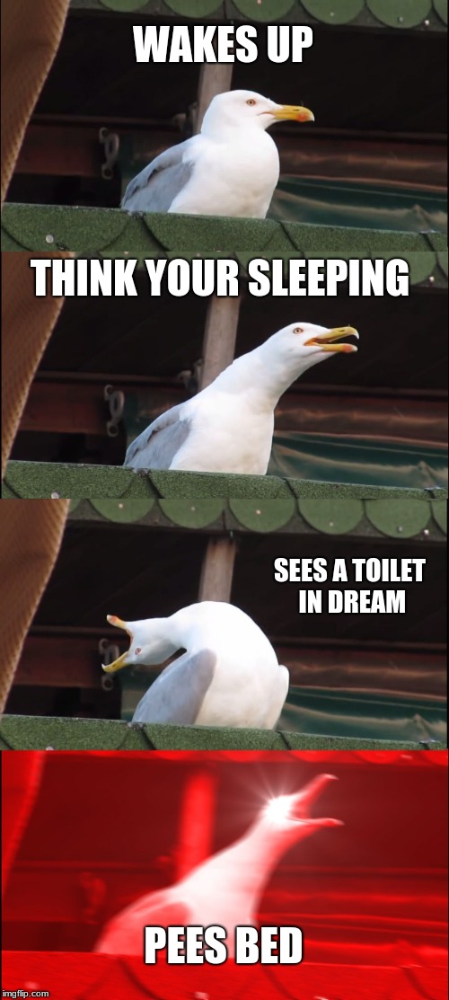 Inhaling Seagull | WAKES UP; THINK YOUR SLEEPING; SEES A TOILET IN DREAM; PEES BED | image tagged in memes,inhaling seagull | made w/ Imgflip meme maker