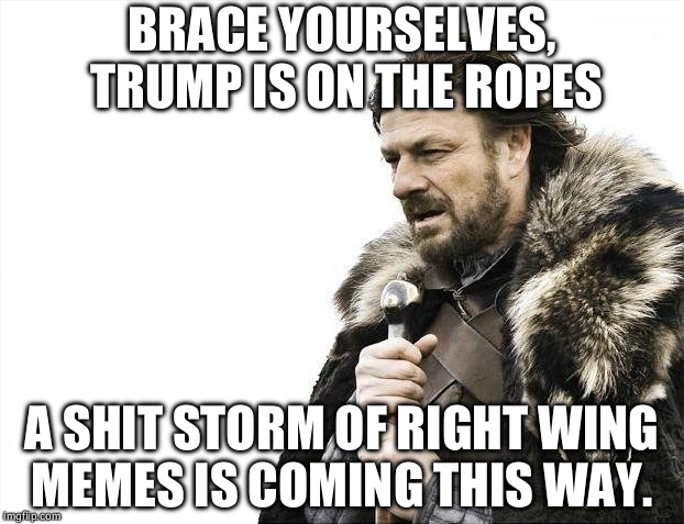 Brace Yourselves X is Coming | BRACE YOURSELVES, TRUMP IS ON THE ROPES; A SHIT STORM OF RIGHT WING MEMES IS COMING THIS WAY. | image tagged in memes,brace yourselves x is coming | made w/ Imgflip meme maker