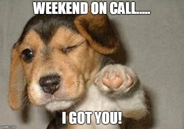 Winking Dog | WEEKEND ON CALL..... I GOT YOU! | image tagged in winking dog | made w/ Imgflip meme maker