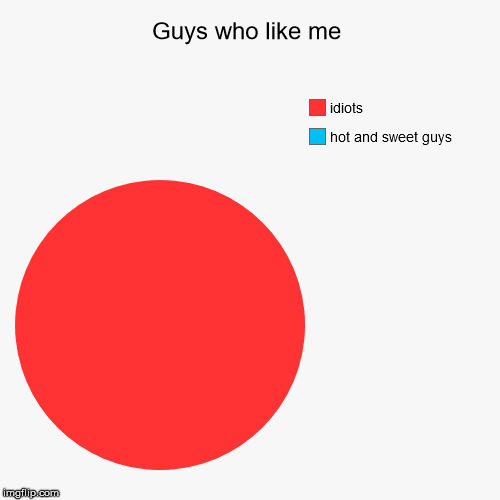 Guys who like me | hot and sweet guys, idiots | image tagged in funny,pie charts | made w/ Imgflip chart maker