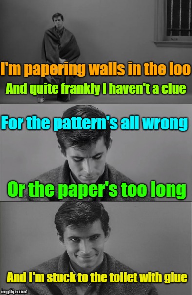 Sticky Limerick  | I'm papering walls in the loo; And quite frankly I haven't a clue; For the pattern's all wrong; Or the paper's too long; And I'm stuck to the toilet with glue | image tagged in bad limerick norman bates,memes,limerick,chores,a meme for my son | made w/ Imgflip meme maker