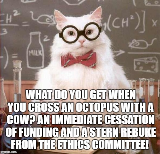 cat scientist | WHAT DO YOU GET WHEN YOU CROSS AN OCTOPUS WITH A COW?
AN IMMEDIATE CESSATION OF FUNDING AND A STERN REBUKE FROM THE ETHICS COMMITTEE! | image tagged in cat scientist | made w/ Imgflip meme maker