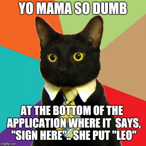 Yo Mama | YO MAMA SO DUMB; AT THE BOTTOM OF THE
 APPLICATION WHERE IT

SAYS, "SIGN HERE".. SHE PUT "LEO" | image tagged in memes,business cat | made w/ Imgflip meme maker