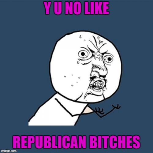 Y U No Meme | Y U NO LIKE REPUBLICAN B**CHES | image tagged in memes,y u no | made w/ Imgflip meme maker