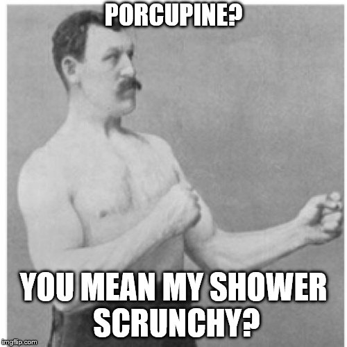 For that deep-down clean feeling! | PORCUPINE? YOU MEAN MY SHOWER SCRUNCHY? | image tagged in memes,overly manly man | made w/ Imgflip meme maker