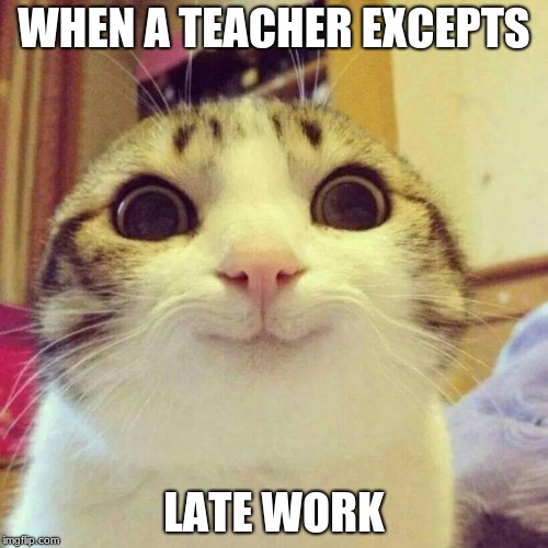 Smiling Cat Meme | WHEN A TEACHER EXCEPTS; LATE WORK | image tagged in memes,smiling cat | made w/ Imgflip meme maker