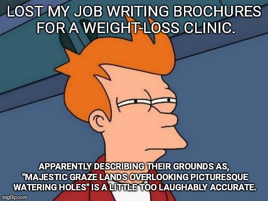 Futurama Fry | LOST MY JOB WRITING BROCHURES FOR A WEIGHT-LOSS CLINIC. APPARENTLY DESCRIBING THEIR GROUNDS AS, "MAJESTIC GRAZE LANDS OVERLOOKING PICTURESQUE WATERING HOLES" IS A LITTLE TOO LAUGHABLY ACCURATE. | image tagged in memes,futurama fry,weight loss clinics,political correctness | made w/ Imgflip meme maker