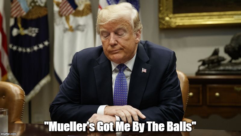 "Mueller's Got Me By The Balls" | made w/ Imgflip meme maker