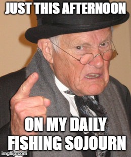 Back In My Day Meme | JUST THIS AFTERNOON ON MY DAILY FISHING SOJOURN | image tagged in memes,back in my day | made w/ Imgflip meme maker