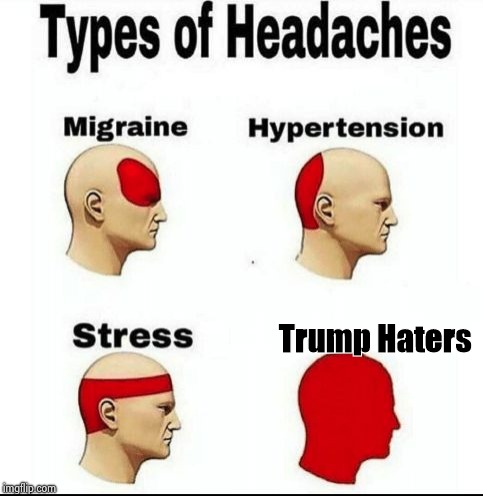 This is not a Political meme | Trump Haters | image tagged in types of headaches meme,party of haters,look at all these,hide the pain harold | made w/ Imgflip meme maker