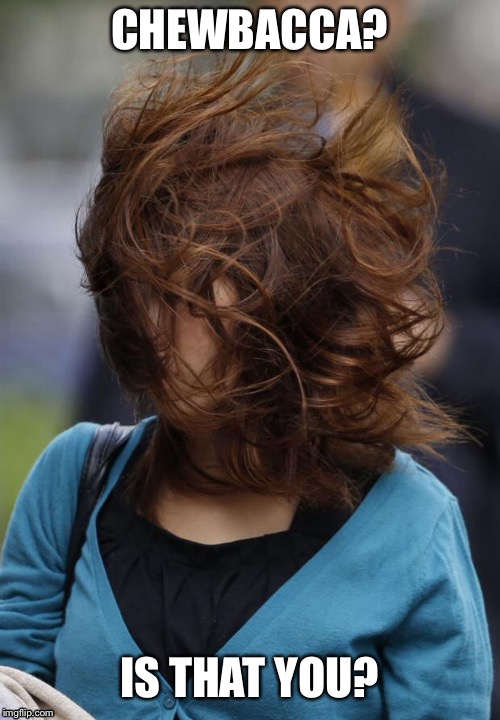 hair wind girl windy | CHEWBACCA? IS THAT YOU? | image tagged in hair wind girl windy | made w/ Imgflip meme maker
