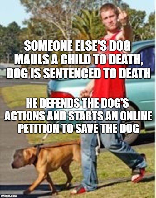 Dog Owner Douchebag | SOMEONE ELSE'S DOG MAULS A CHILD TO DEATH, DOG IS SENTENCED TO DEATH; HE DEFENDS THE DOG'S ACTIONS AND STARTS AN ONLINE PETITION TO SAVE THE DOG | image tagged in dog,dog meme | made w/ Imgflip meme maker