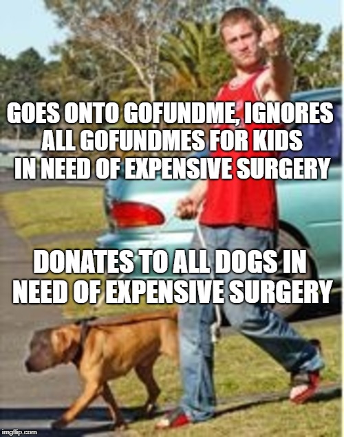 GOES ONTO GOFUNDME, IGNORES ALL GOFUNDMES FOR KIDS IN NEED OF EXPENSIVE SURGERY; DONATES TO ALL DOGS IN NEED OF EXPENSIVE SURGERY | image tagged in dog owner douchebag | made w/ Imgflip meme maker