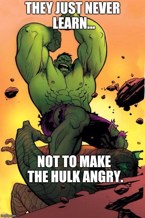 Hulk smash  | THEY JUST NEVER LEARN... NOT TO MAKE THE HULK ANGRY. | image tagged in hulk smash | made w/ Imgflip meme maker