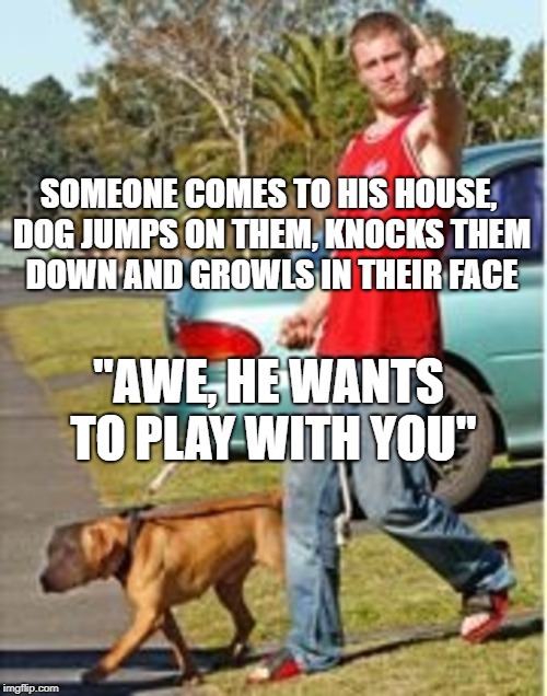 SOMEONE COMES TO HIS HOUSE, DOG JUMPS ON THEM, KNOCKS THEM DOWN AND GROWLS IN THEIR FACE; "AWE, HE WANTS TO PLAY WITH YOU" | image tagged in dog owner douchebag | made w/ Imgflip meme maker