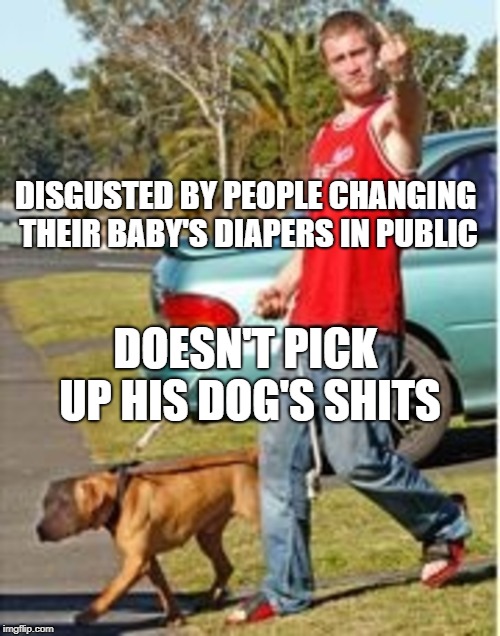 DISGUSTED BY PEOPLE CHANGING THEIR BABY'S DIAPERS IN PUBLIC; DOESN'T PICK UP HIS DOG'S SHITS | image tagged in dog owner douchebag | made w/ Imgflip meme maker