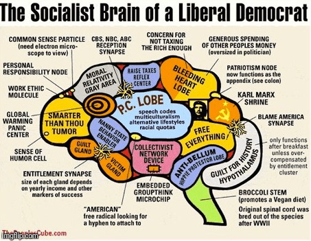 image tagged in liberals | made w/ Imgflip meme maker
