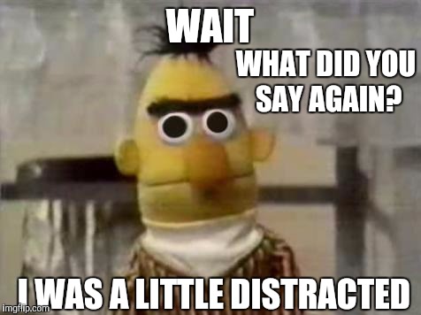 Bert Stare | WAIT WHAT DID YOU SAY AGAIN? I WAS A LITTLE DISTRACTED | image tagged in bert stare | made w/ Imgflip meme maker